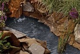Free Backyard Pond Plan