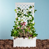 Free Trellis Planter Plan
