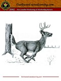 Woodcarving Patterns plans