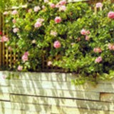 Retaining Wall plans