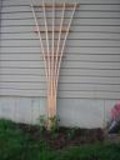 Garden Trellis plans