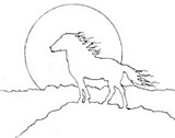 Details for Wild Horse Intarsia Pattern Plans
